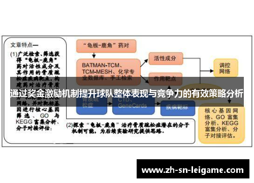 通过奖金激励机制提升球队整体表现与竞争力的有效策略分析